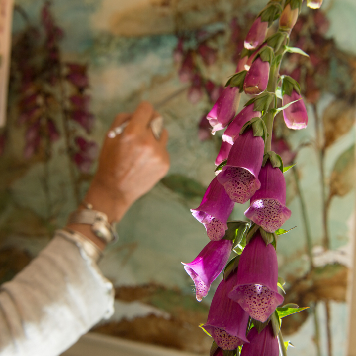 Foxgloves in foreground, Catherine Forshalls hand painting Foxgloves on canvas in back ground
