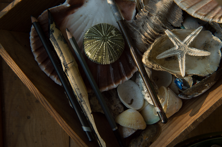 Shells, pencils, a star fish in a wooden trug